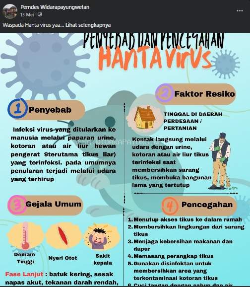 Waspada Hantavirus, Kenali Penyebab, Gejala, dan Cara Pencegahannya